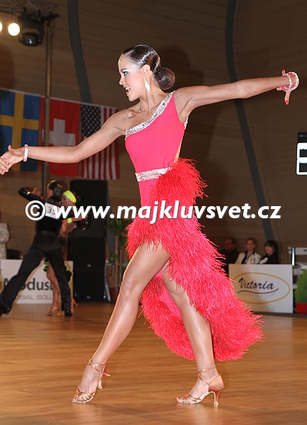 brnoopen2011_rislat_0025-025