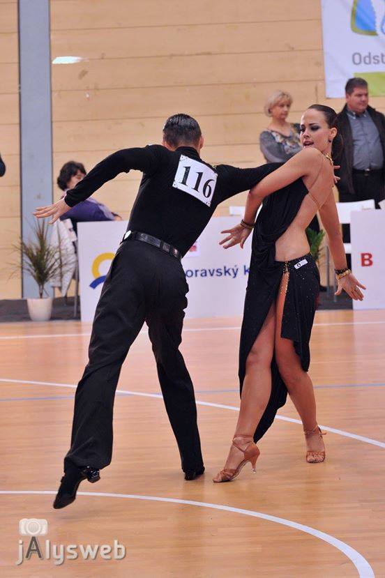 TL 2014 - Brno - 14